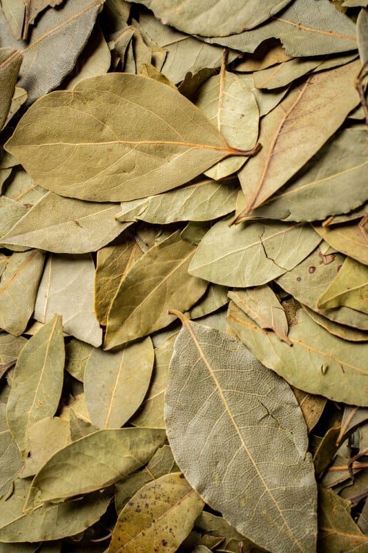 Bay Leaf