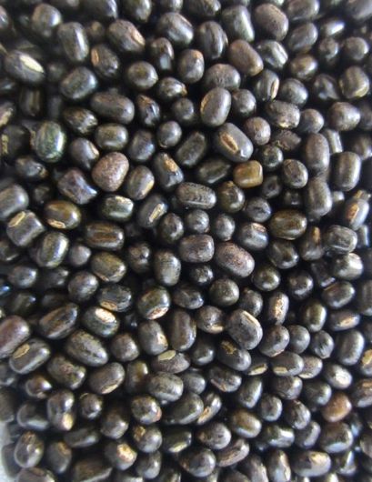 Black Urad Dal — Whole Black Gram