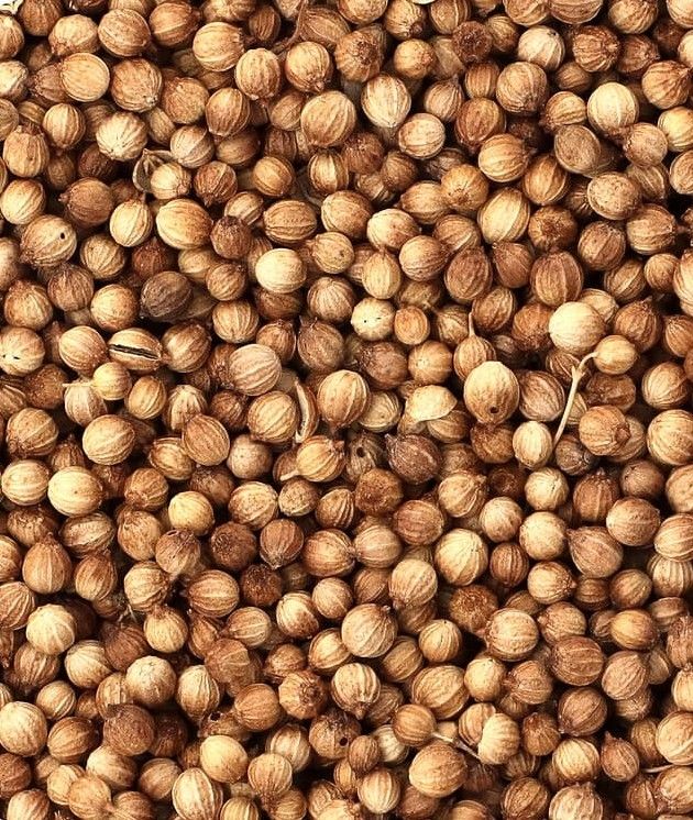 Coriander Seeds