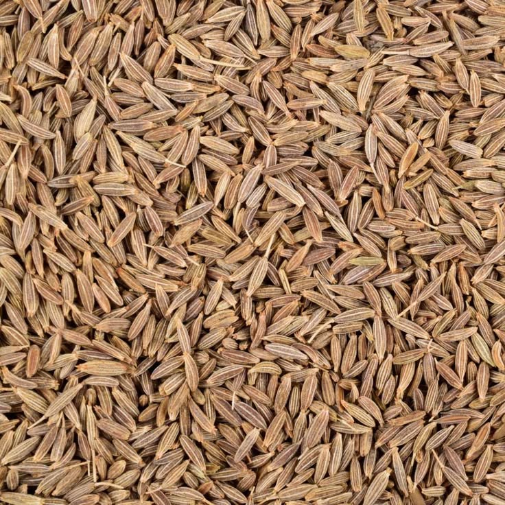 Cumin Seeds