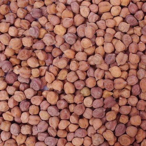 Desi Chana — Brown Chickpeas