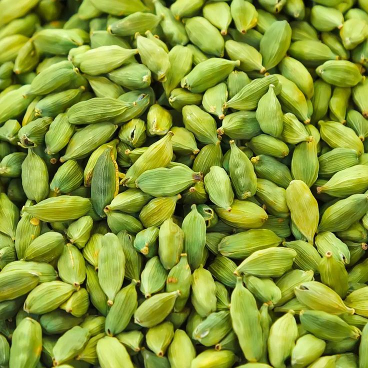 Green Cardamom