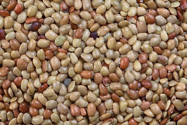 Horse Gram — Kollu