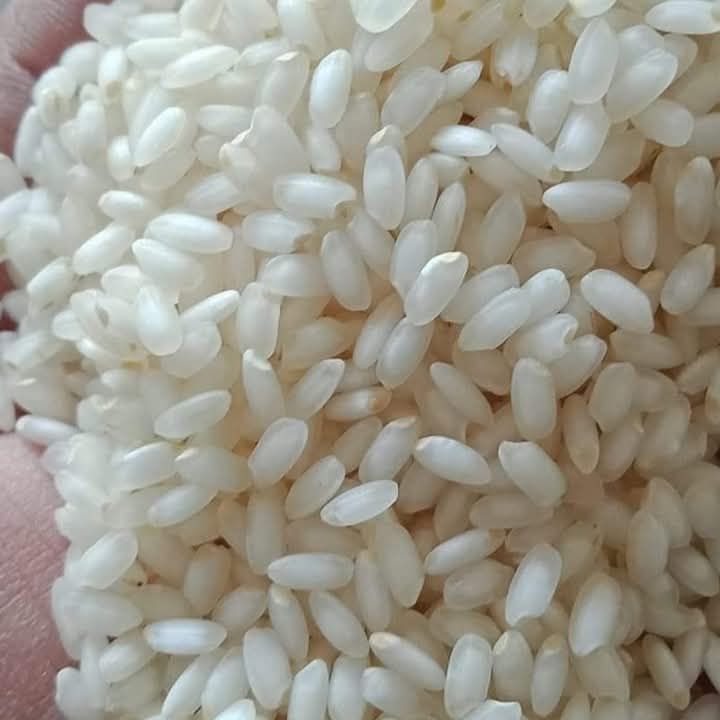 Idli Rice
