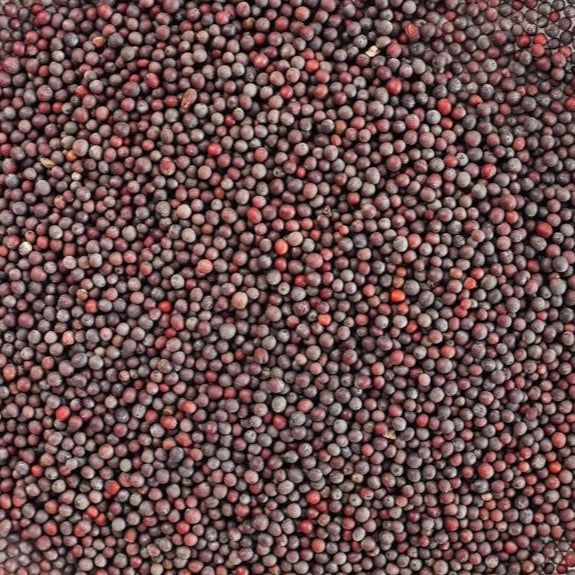 Mustard Seeds