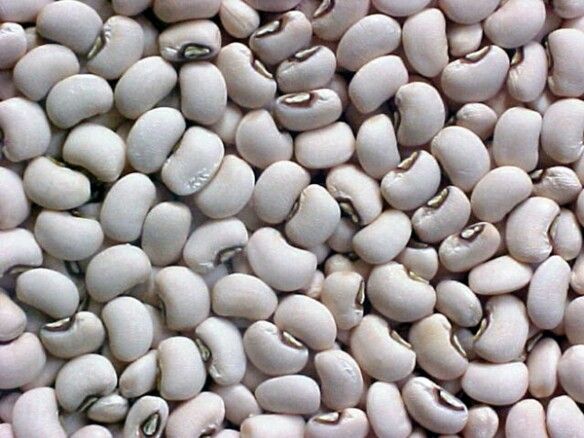 Lima Beans