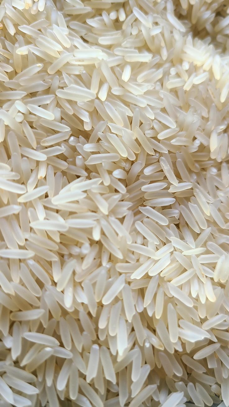 Ponni Raw Rice