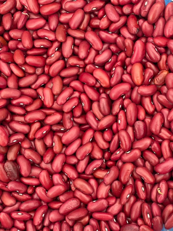 Rajma Red