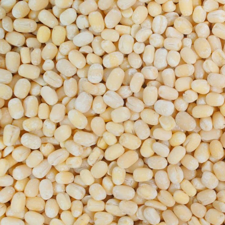 Urad Dal — Whole White
